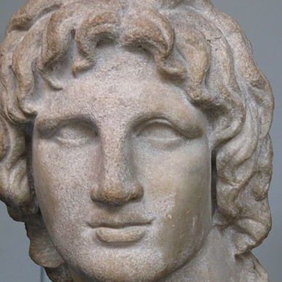 alexander336